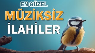 Müziksiz İlahiler  ilahiler Müziksiz 2024 [upl. by Nahtanaj]