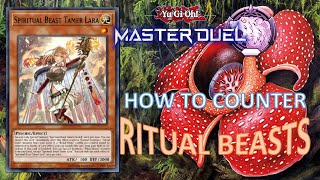 TRAPTRIX DECK 2024  ARMORED XYZ TIPS HOWTO COUNTER RITUAL BEASTS WITH MY DECK [upl. by Salamanca]