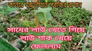 বাগান থেকে আজ প্রথমবার লাউ শাক কাটিং করলাম Today first time harvest of bottle gourd leaf stir fry [upl. by Church]