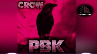 CROW Hardtekk  PLATTENBAUKIND PBK [upl. by Georgine]