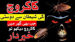 Cockroach Dekho to Khabardar  Imam Jafar Sadiq as Qol  Mehrban Ali  کاکروچ  Home Ghar House [upl. by Aicittel]