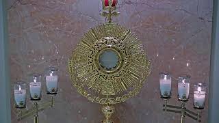 Adorecast – 247 Live Eucharistic Adoration [upl. by Girardo]