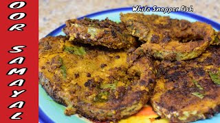 13 Try to Fry White Snapper Fish with Indian Masala  How to Fry White Snapper  OOR SAMAYA [upl. by Kcirddes431]