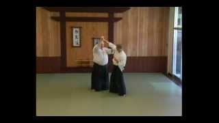 Aikido  The Power of the Mind  G Ledyard  DVD Sample Clip [upl. by Latif597]