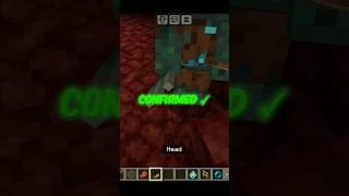 Busting 3 Incredible Minecraft Myths 😱  minecraft shorts [upl. by Ailahtan]