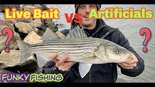 Live Bloodworms VS Artificial Bloodworms Striped Bass Fishing NYC [upl. by Karlens]