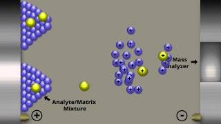 MatrixAssisted Laser Desorption Ionization [upl. by Kurtis]