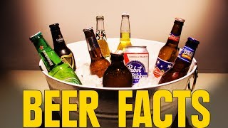 6 Beer Facts That Will Change The Way You Look At Breweries [upl. by Kathi912]