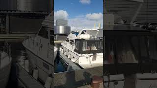 Stavanger harbour Norway shorts shortsfeed moresubscribers2024 [upl. by Hsirahc]