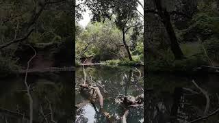 Kilcoy Creek dji avata2 dronefootage [upl. by Princess]