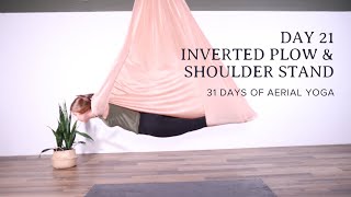 31 DAYS OF AERIAL YOGA  Day 21  Shoulder Stand amp Plow Pose  AERIAL YOGA CLASS [upl. by Arodaeht]