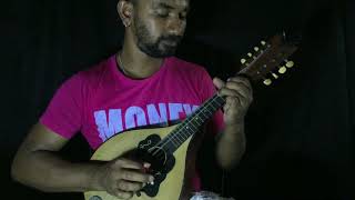 Ninda nena Rathriye  Chaudhvin ka Chand ho  Mandolin cover by Prashan [upl. by Nosahc]