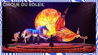 Best of Adrenaline II  Cirque du Soleil [upl. by Attevaj]