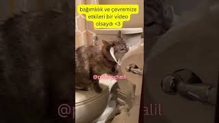 Bağımlılık ve Çevremize Etkileri Bir Video Olsaydı ❤ wwwpsikologhalilcom psikolog psikoloji [upl. by Sldney]