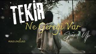 Tekir  Ne Gereği Var Speed Up [upl. by Llorre]