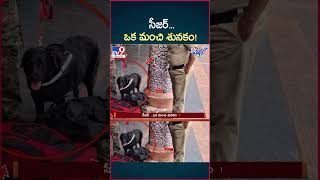 iSmart News  సీజర్ ఒక మంచి శునకం  Police Dog  TV9 [upl. by Darcy]