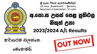 How to Watch AL Exam Results 2024  20232024 AL exam results out  2024 Al results  SL Academy [upl. by Rebecca]