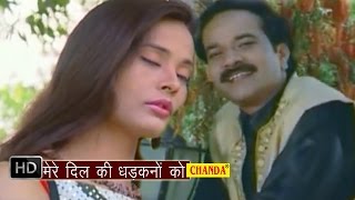 Mere Dil Ki Dhadkano Ko  मेरे दिल की धड़कनों को  Mohd Niyaz  Hindi Love Songs Hindi [upl. by Ming]