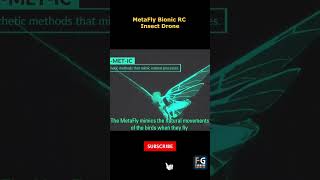 MetaFly Biomimetic Drone Unveil the Future of RC Bird Drones shorts drone insectslovers rctoys [upl. by Stonwin353]