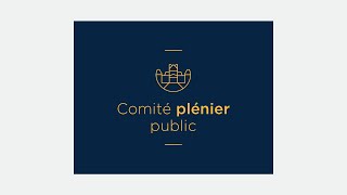 Comité plénier public du 20 août 2024 [upl. by Anabelle]