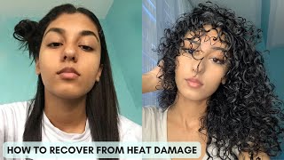 HOW TO GET YOUR CURLS BACK  Ultimate Heat Damage Repair Guide [upl. by Loar]