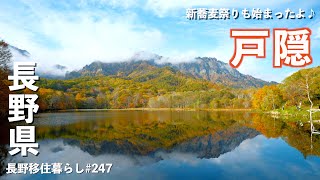 【長野移住】穴場紅葉スポットと戸隠で紅葉と秋の味覚を満喫｜奥裾花自然園｜戸隠｜鏡池｜ドライブ｜田舎暮らし｜長野県｜4K [upl. by Silletram]