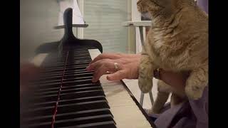 Piano 🎹  lecture à vue accompagnée le chat 🐈 adore 🥰…mon nouveau morceau de KABALEWSKI [upl. by Beall]