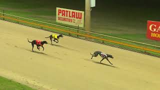 Rockhampton23102024Race7 [upl. by Aikcir]