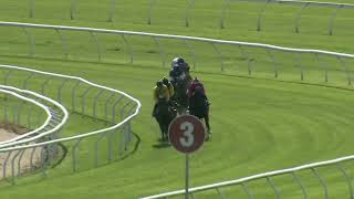 Heat 6 Doomben Jumpouts 0611 [upl. by Ydnis]