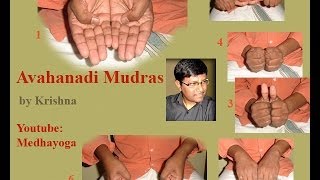 Sri Vidya Avahanadi Mudras By Krishna [upl. by Anidan]