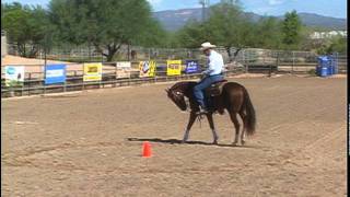 Warm up Drill Recognizing Parts of the Horse [upl. by Mor]