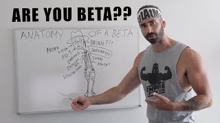 Anatomy of a Beta Male [upl. by Nnahsal]