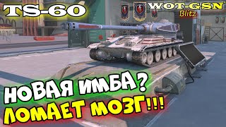 TS60  НОВАЯ ИМБА ПТ ЛОМАЮЩАЯ ОЖИДАНИЯ Честно про новую ТС60 в wot Blitz 2023  WOTGSN [upl. by Yroc]