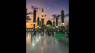 Mustafa Mustafa Kar Raha Hu naat beautiful youtubeshorts allah madina islamic music song [upl. by Camp]