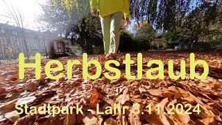 Herbstlaub  Stadtpark Lahr  3112024 [upl. by Erlene]