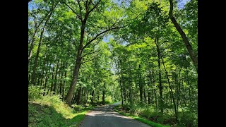 County Line Road Lawrence County Pa Late Summer 8 2024 [upl. by Kendell]