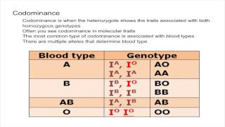 Codominance and Multiple Alleles [upl. by Janik127]