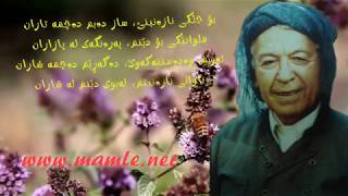 Mamle  Karwane  Karwana  Karvana  کاروانە  محەممەد ماملێ [upl. by Alicea760]