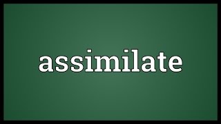 Assimilate Meaning [upl. by Lsil]