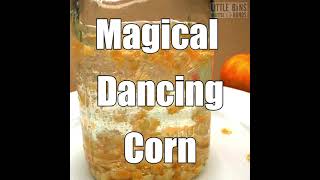 Is it magic Dancing Corn Science Demonstration and Activity [upl. by Karr629]