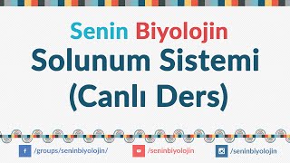 Solunum Sistemi canlı ders [upl. by Aldora392]