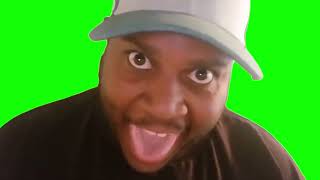 Green Screen quotDid You Miss Mequot Meme  EDP 445 Meme [upl. by Sirromaj]