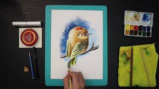 How to Paint a Bird with Watercolor  Rubycrowned Kinglet [upl. by Letsyrhc]