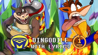 Crash Bandicoot  Dingodile With Lyrics for One Hour  By Man on the Internet ft Alex Beckham [upl. by Beverly]