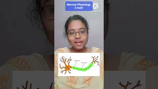 Nervous system  Saltatory Conduction in Tamil  2 mark [upl. by Kerred]