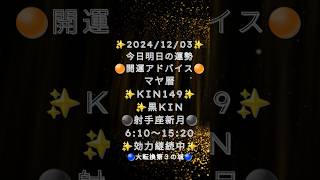 20241203 2233 明日の運勢 マヤ暦 今日の運勢 開運アドバイス Kin149赤い月 黄色い種 音6 黒Kin 第3の城 射手座新月 風の時代 [upl. by Modie]