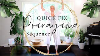 3 min Quick Fix Pranayama with Happy Hanna [upl. by Alleacim]