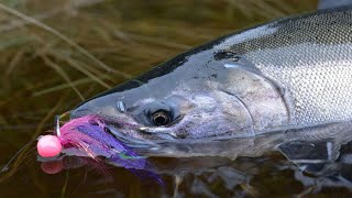 Addicted Alaska 1  Alaskan Coho Salmon Fishing Full Movie [upl. by Normand]