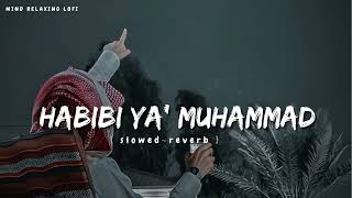 Habibi Ya Muhammad✨ slowed reverb Beautiful Nasheed Naat l Lofi Version l Mind Relaxing Naat [upl. by Sej]