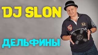 Dj Slon  Дельфины все дельфины в ураган  Аудио [upl. by Giraud]